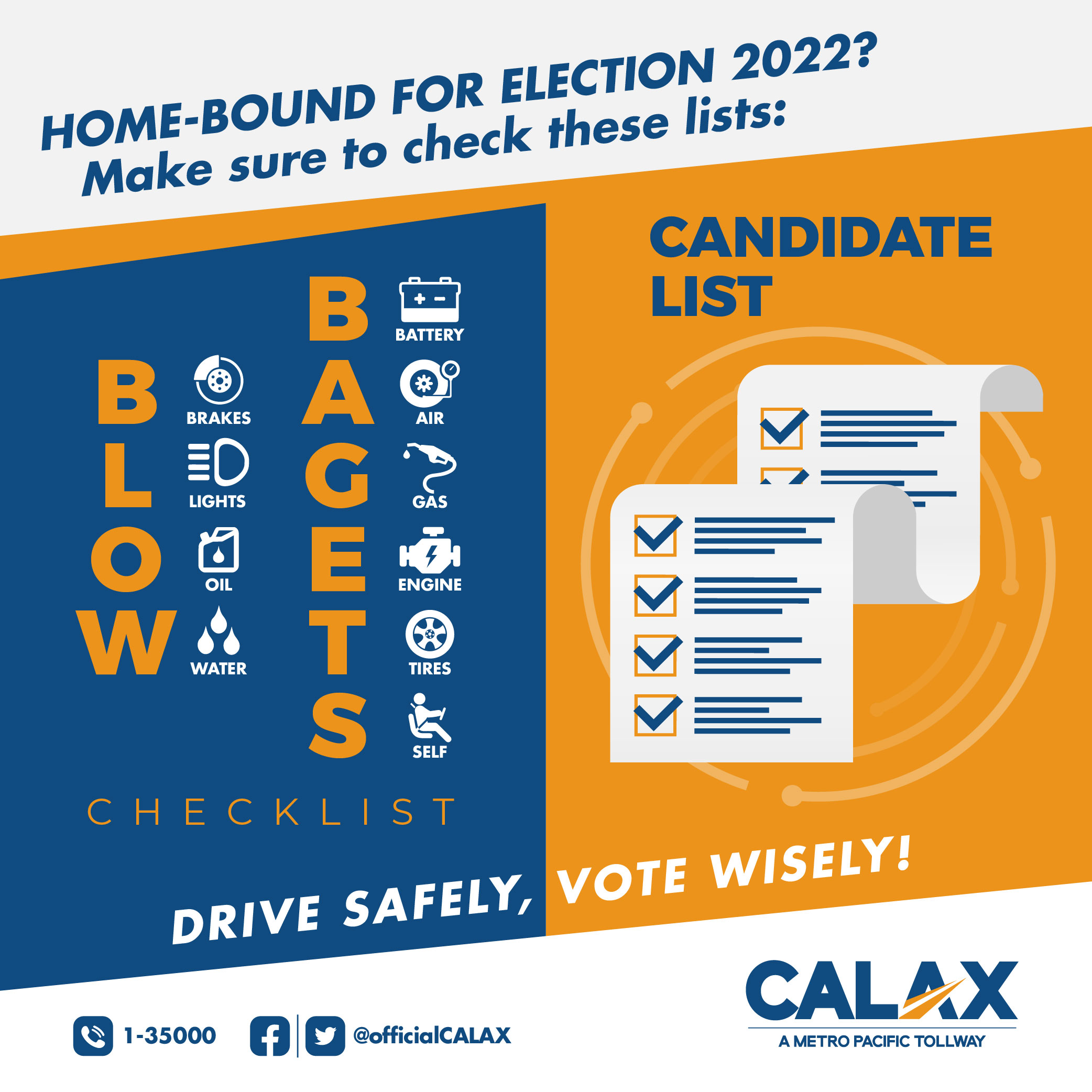 DRIVE SAFELY VOTE WISELY